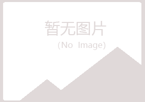 新疆晓夏水泥有限公司